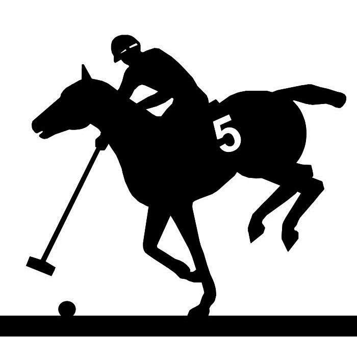 Polo Player 1
