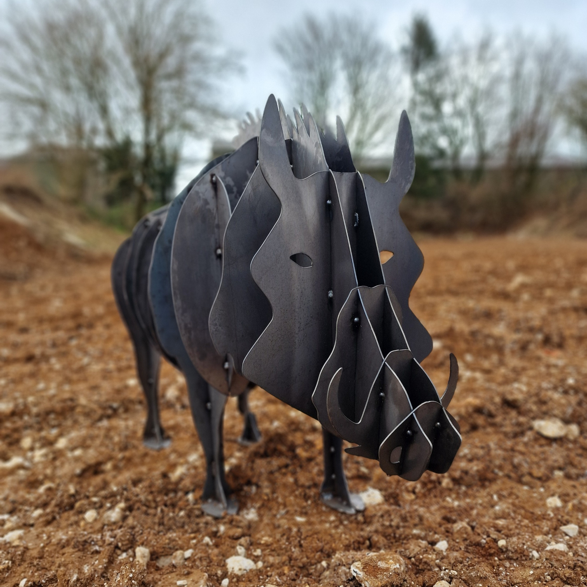 Wild Boar
