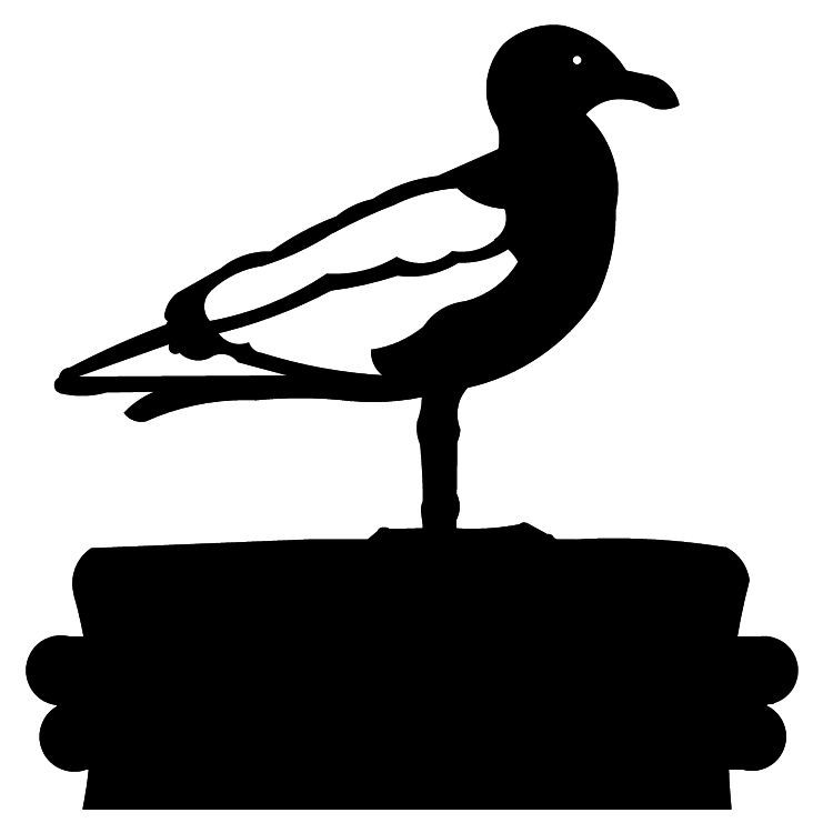 Seagull