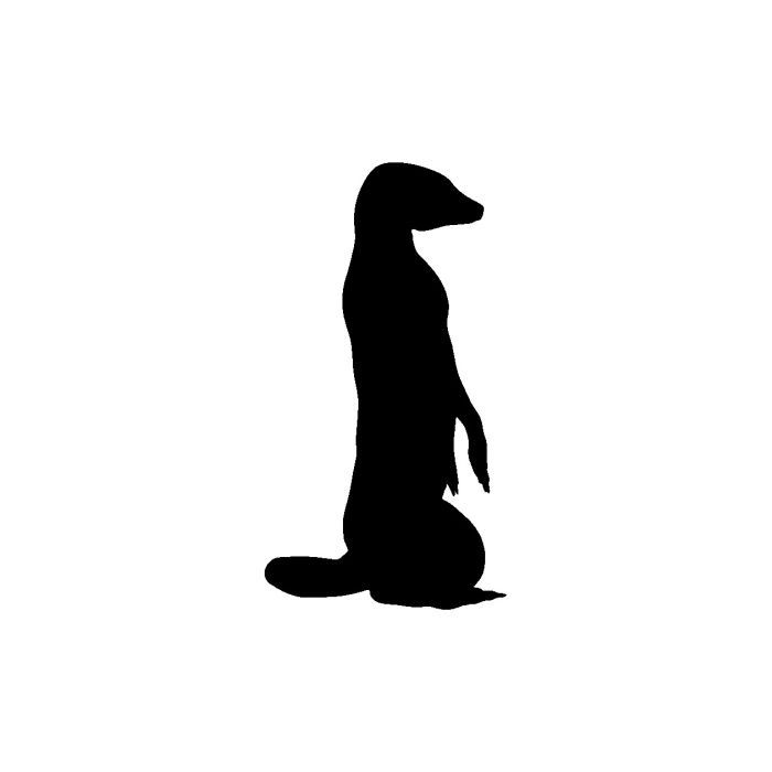 Meerkat 6