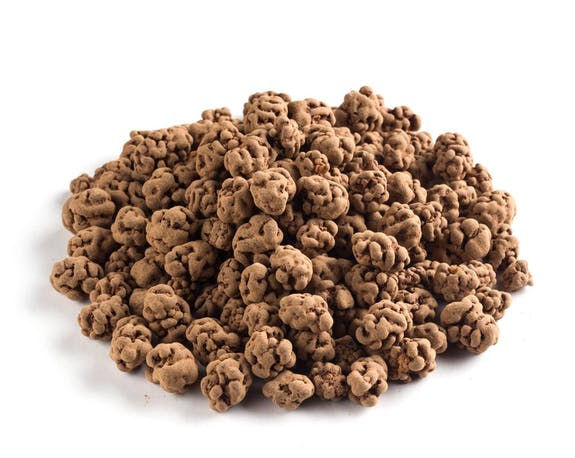 Raw Chocolate Coated Mulberries