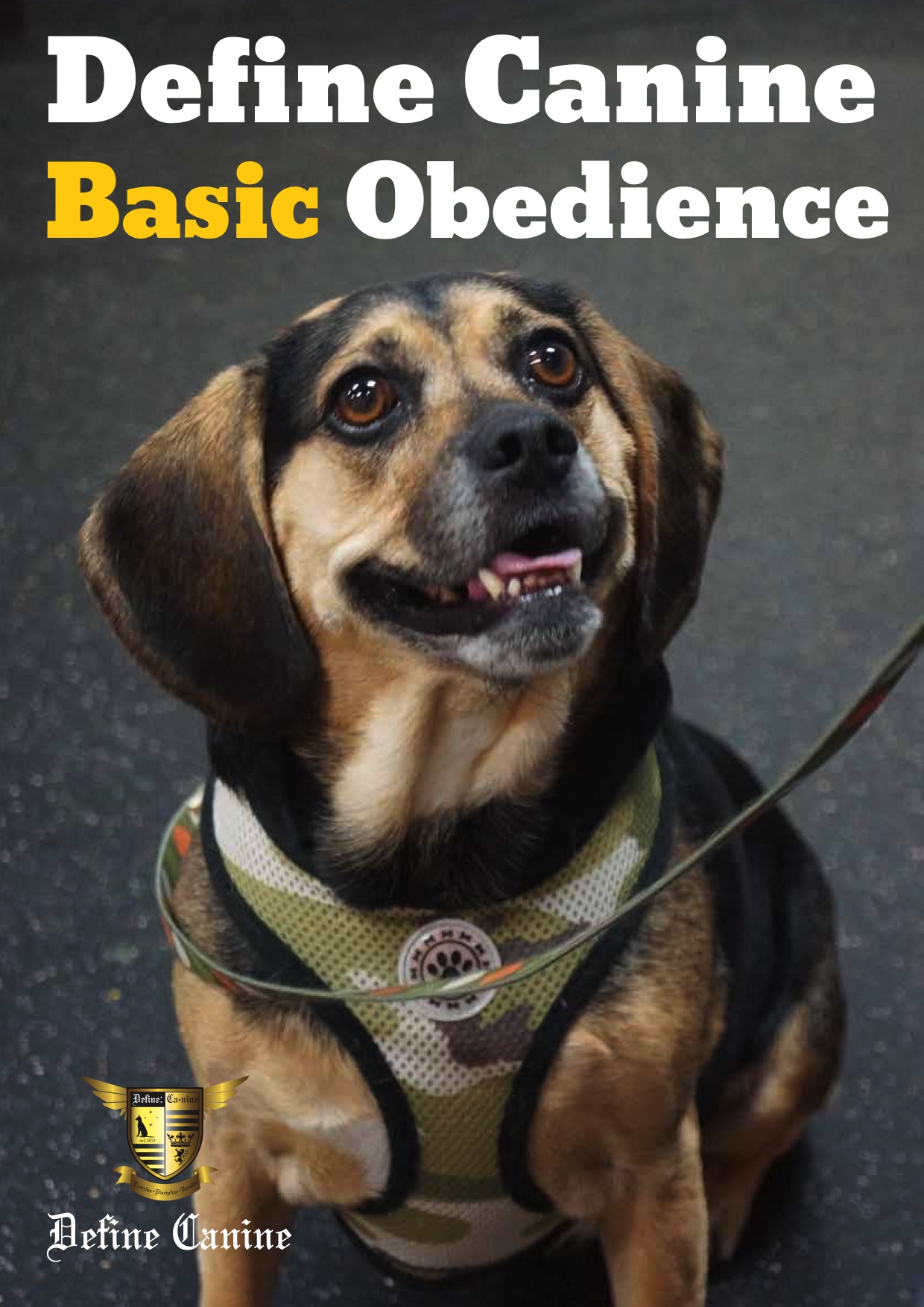 ONLINE TRAINING definecanine