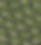 Mahi_Treats_Background-(web).jpg