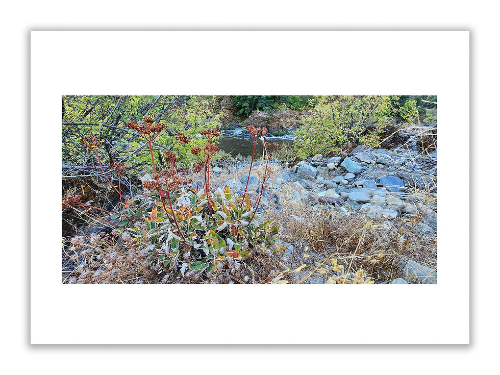 Miniature : Klamath Rivers Photography Greeting Card Set (10)
