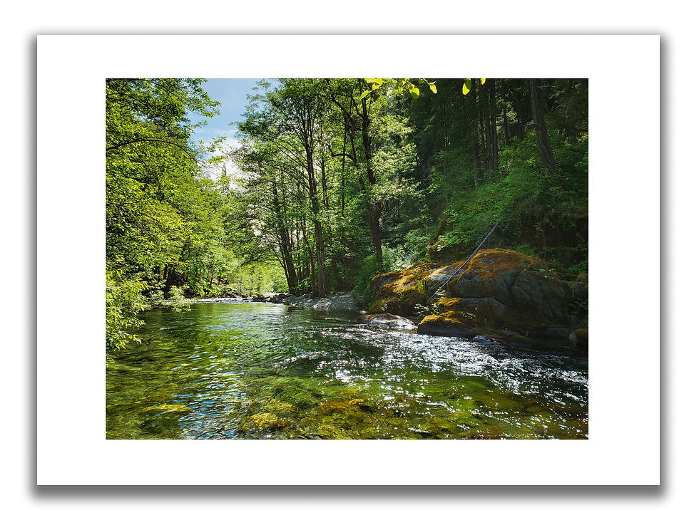 Miniature : Nature Photography Greeting Card Set (10)