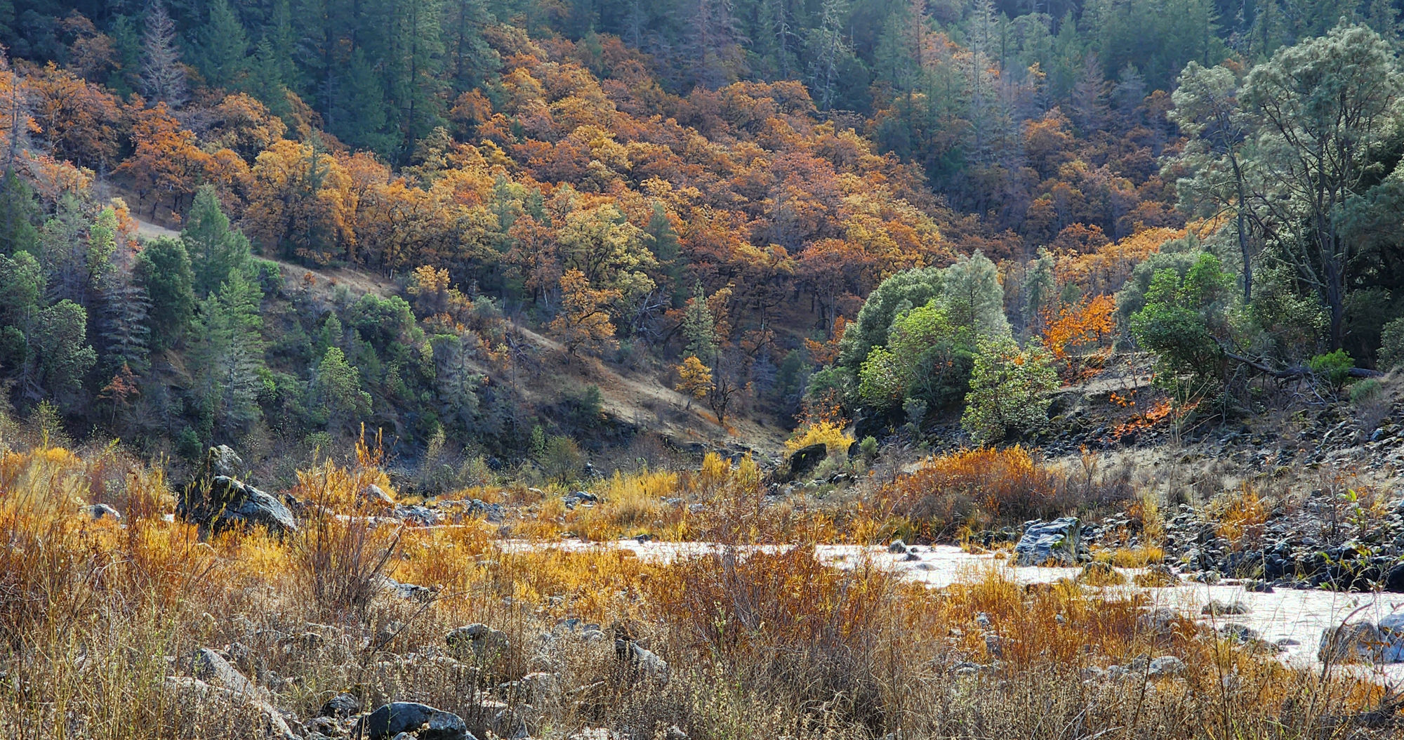 Sleeping Stone, 2023 Edition Archival Matte Fine-Art Print