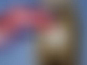 Oooh Breakfast, sorry, Breaxitz fine