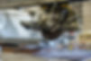 168A9362.jpg
