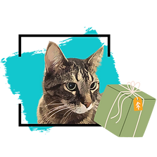 website 600x600 (6).png