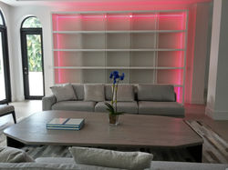 2016 Bookcase 13'x9' with LEDs
