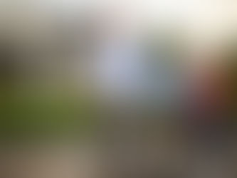 Independent Insurance Adjuster in The Midwest