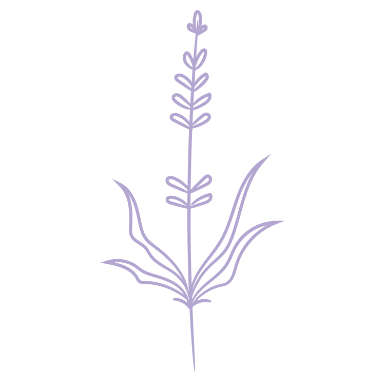 flower7