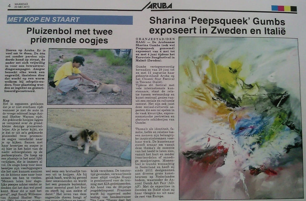 Article in Aruban newspaper "Amigoe" on may 20th 2013