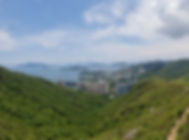 20180722_121228.jpeg