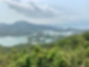 IMG_2442.jpeg