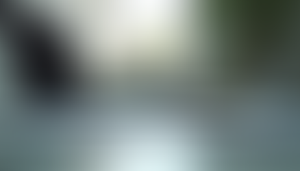 Maximize Results with Conversion Rate Optimization