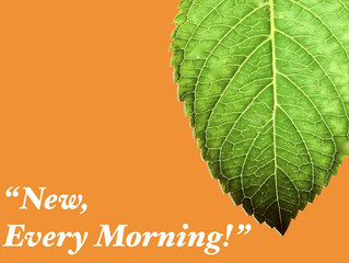 New, Every Morning!