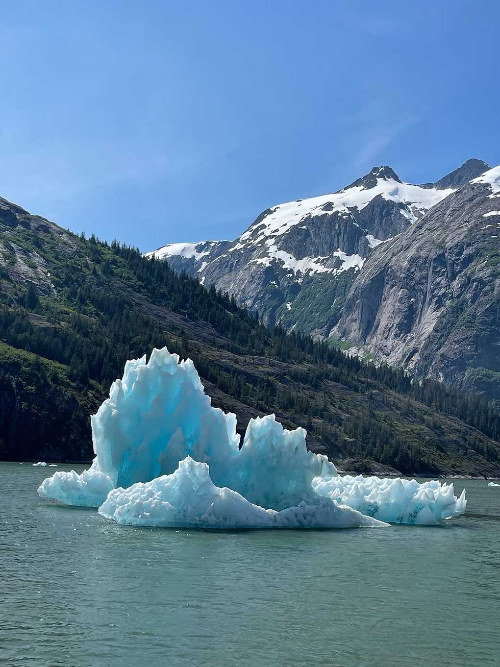 A large, uniquely shaped iceberg floating in a fjord on a clear, beautiful day with calm waters and majestic cliffs in the ba