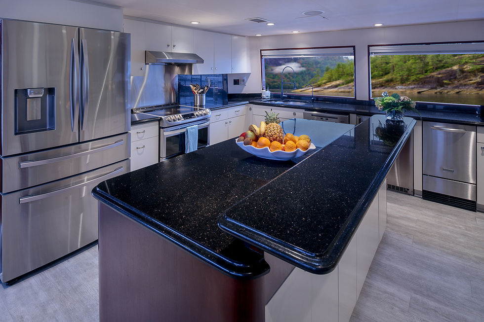 Blackwood’s large modern galley featuring sleek stainless steel appliances, ample counter space, and