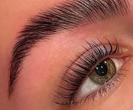 LASH-AND-BROW-2.webp