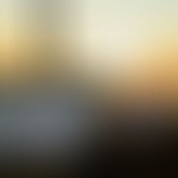 Mars 2026 : revue mensuelle des marchés financiers et perspectives