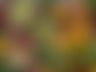 Why You're Not Losing Weight - 16 Reasons You Aren't Seeing Results