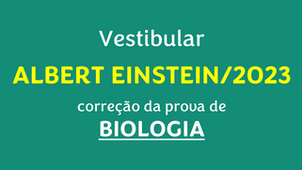 Correção Albert Einstein/2023