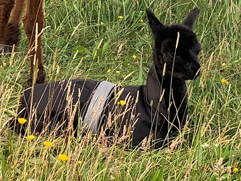 Nina in her coat