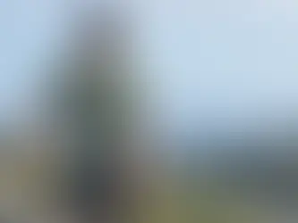 Guía para jerseys de ciclismo de alto rendimiento