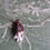 Thumbnail: Mermaid Treasure Necklace