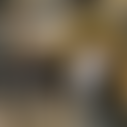 【清潔九龍城舊區2019至2020】：(二)清洗活動