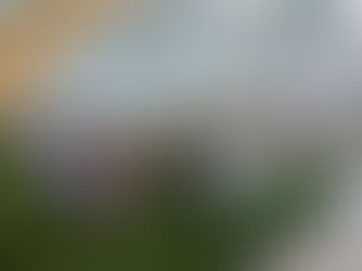 青少年專業導師計劃-參觀活動