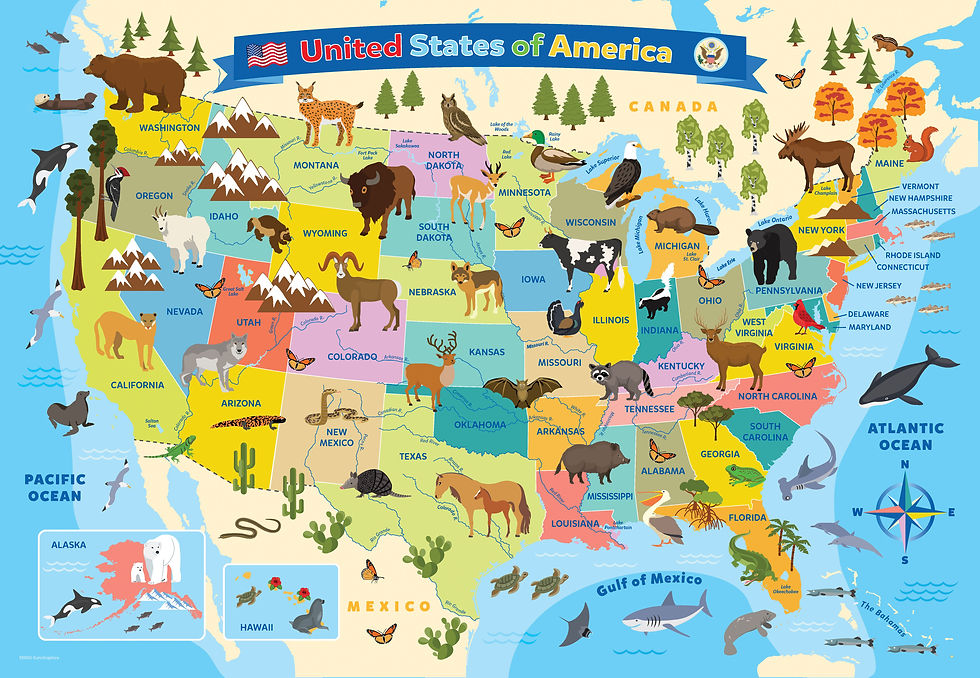 Miniatura: Puzzle - 100 Piece - Illustrated Map of the United States of America