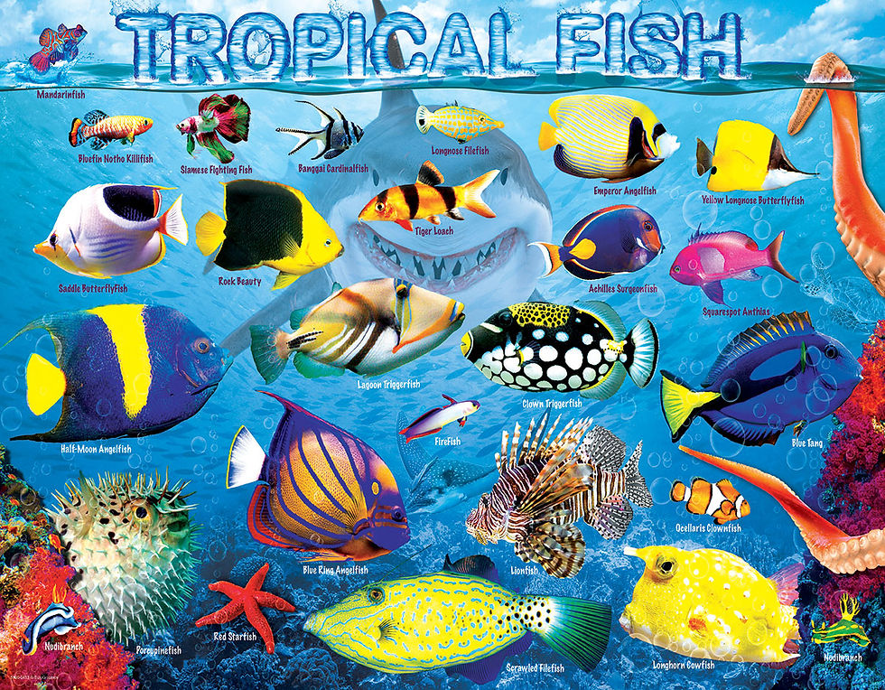 Thumbnail: Puzzle - 100 Piece - Tropical Fish