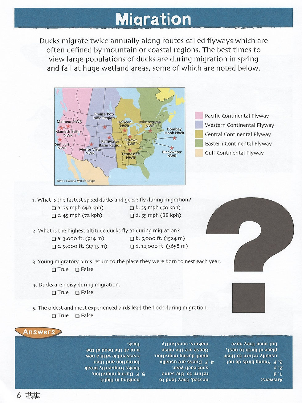 Miniatura: Ducks Nature Activity Book