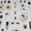 Thumbnail: Poster - Beetles