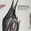 Thumbnail: Poster - Bats