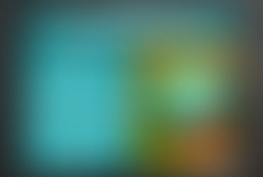 Is the Montessori Method being used in public schools?