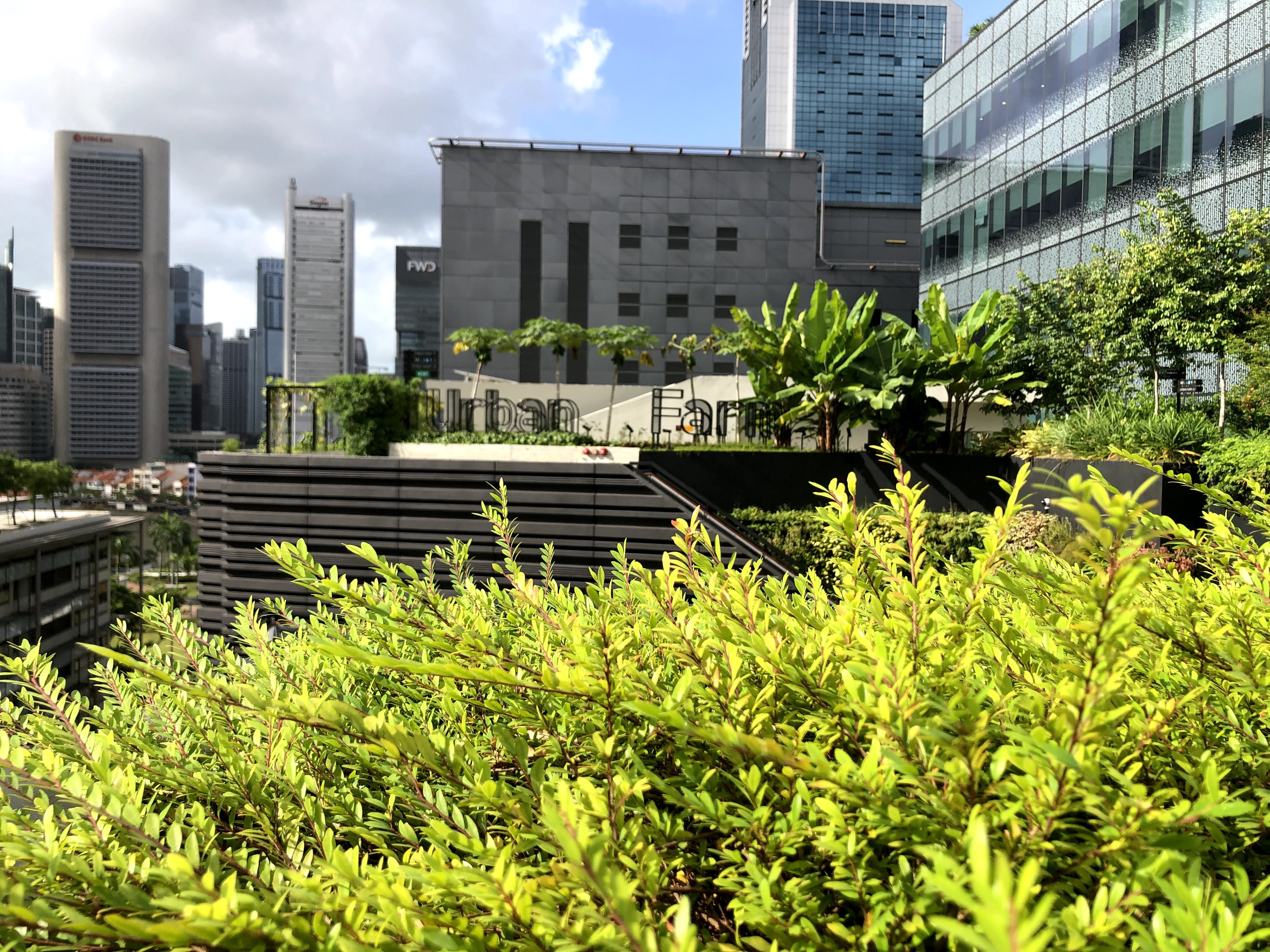 7 Free Things to do in Singapore