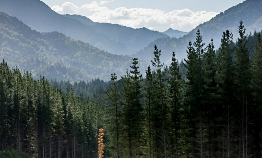 Screenshot 2024-09-07 144910.png