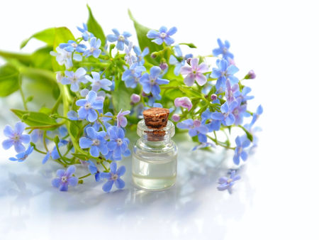 Are Essential Oils Worth the Hype?