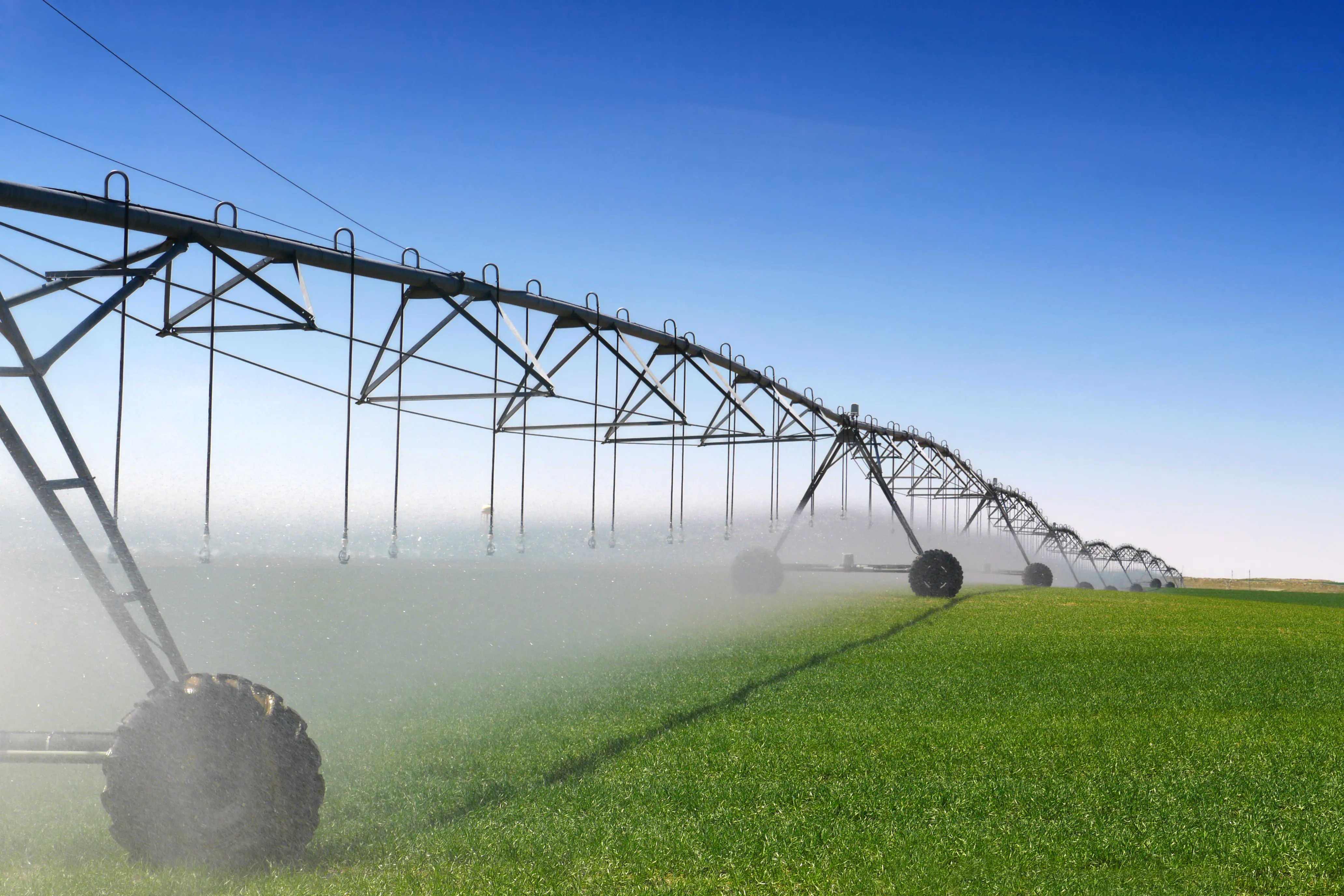 Irrigation.webp