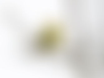 Muller Field Station impromptu 5/2/25