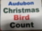 EBS Christmas Bird Count