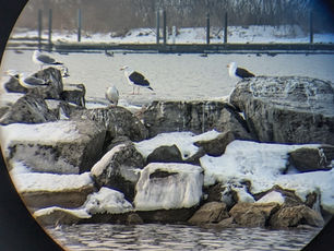 North end of Seneca Lake 02/15/26