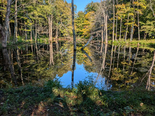 Field Trip to Sterling Nature Center