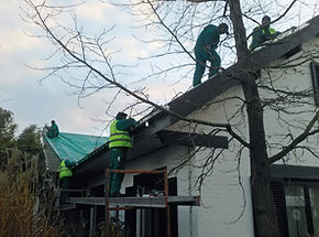 IMG_20141216_161226_edited.jpg