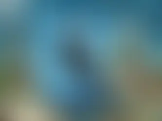 那些幫助我從年薪一百萬爬到五百萬的好習慣