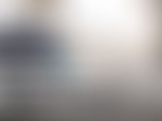 DÉNOMBREMENT DU SANS-ABRISME ET DE L’ABSENCE DE CHEZ-SOI EN BW