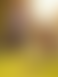 Why Peace of Mind Pet Services Matter